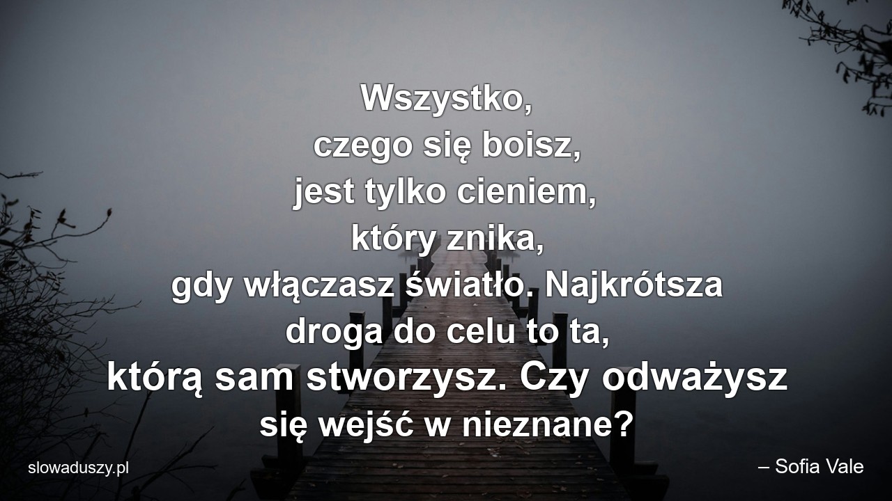 Wszystko,  czego się boisz,  jest tylko cieniem,  który znika,  gdy włączasz światło. Najkrótsza droga do celu to ta,  którą sam stworzysz. Czy odważysz się wejść w nieznane?