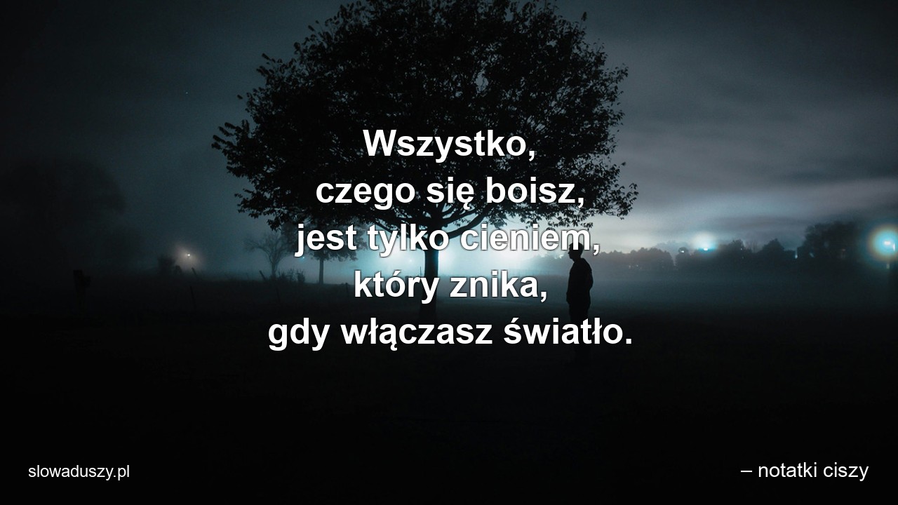 Wszystko,  czego się boisz,  jest tylko cieniem,  który znika,  gdy włączasz światło.