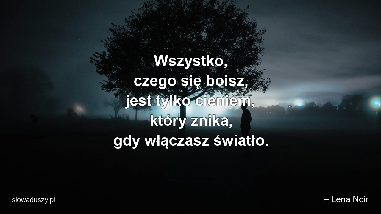 Wszystko,  czego się boisz,  jest tylko cieniem,  który znika,  gdy włączasz światło. - – Lena Noir