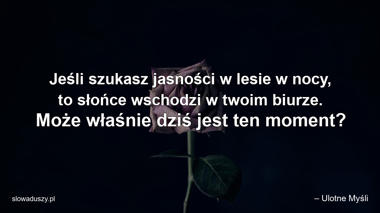 Jeśli szukasz jasności w lesie w nocy,  to słońce wschodzi w twoim biurze. Może właśnie dziś jest ten moment?