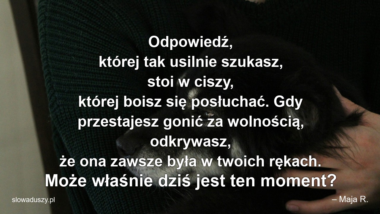 Odpowiedź,  której tak usilnie szukasz,  stoi w ciszy,  której boisz się posłuchać. Gdy przestajesz gonić za wolnością,  odkrywasz,  że ona zawsze była w twoich rękach. Może właśnie dziś jest ten moment? - – Maja R.