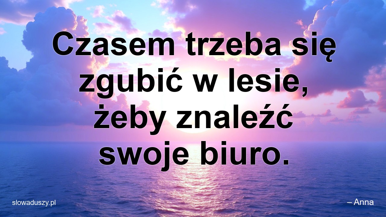 Czasem trzeba się zgubić w lesie,  żeby znaleźć swoje biuro.