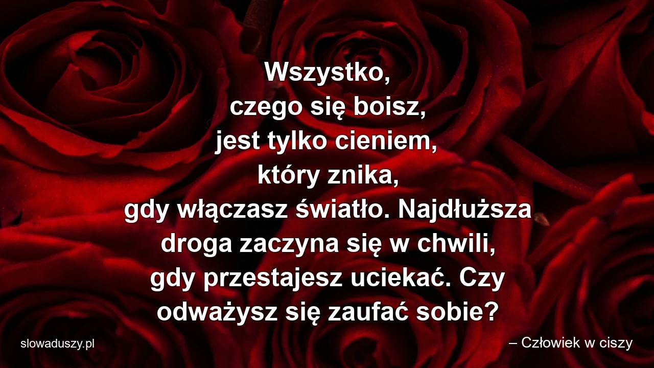 Wszystko,  czego się boisz,  jest tylko cieniem,  który znika,  gdy włączasz światło. Najdłuższa droga zaczyna się w chwili,  gdy przestajesz uciekać. Czy odważysz się zaufać sobie?