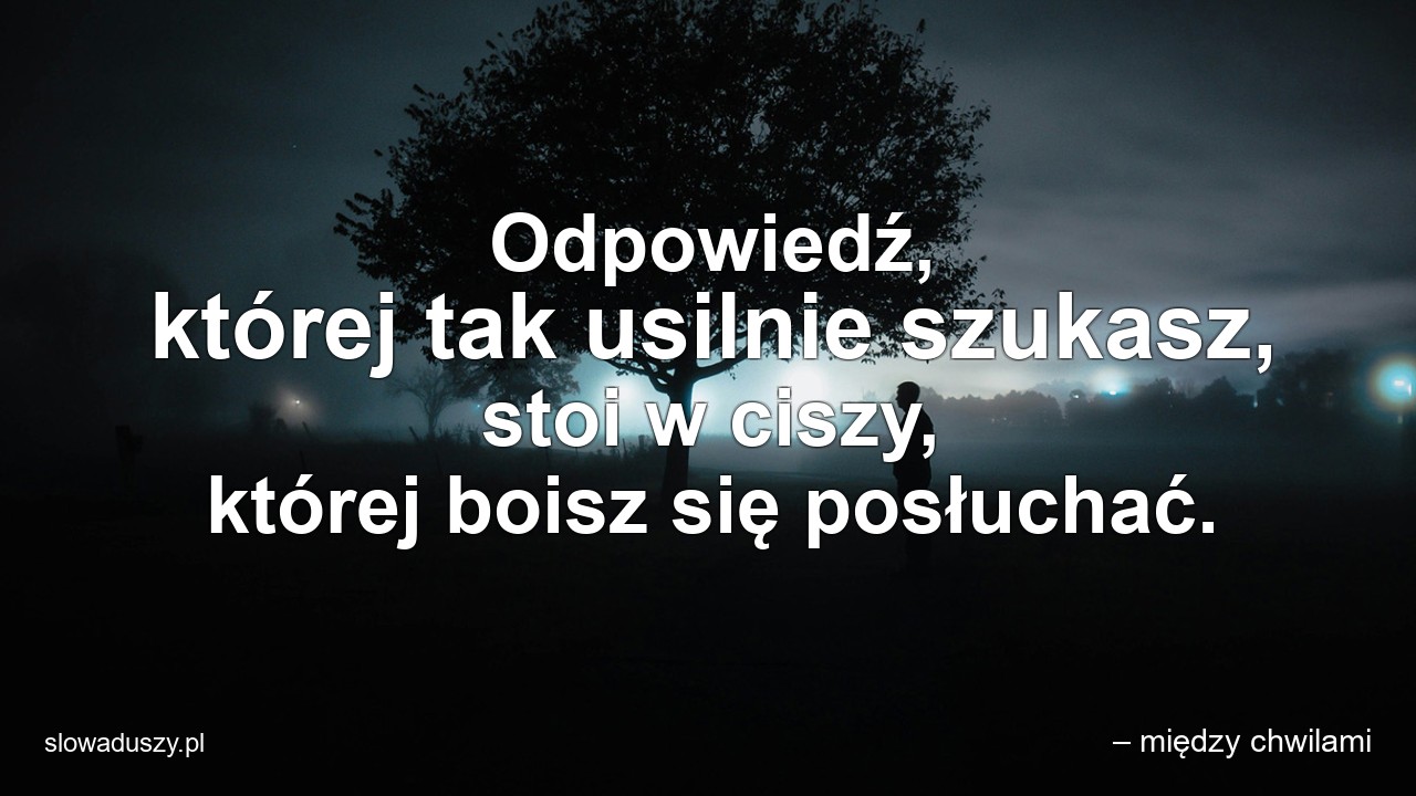 Odpowiedź,  której tak usilnie szukasz,  stoi w ciszy,  której boisz się posłuchać.