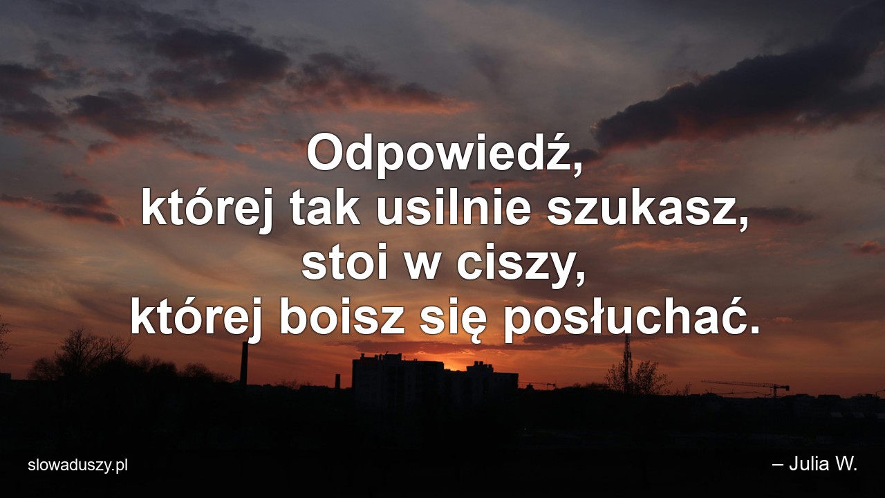 Odpowiedź,  której tak usilnie szukasz,  stoi w ciszy,  której boisz się posłuchać.