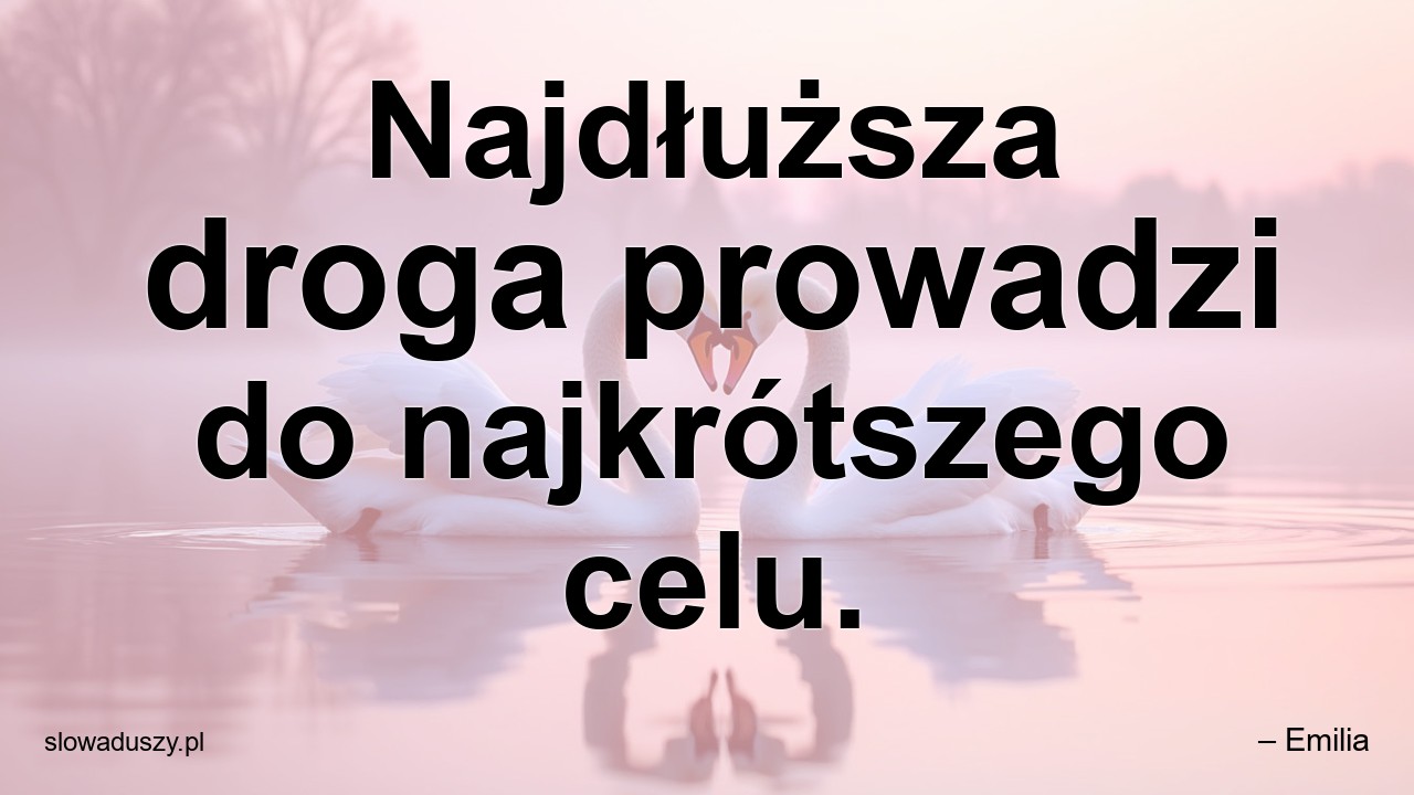 Najdłuższa droga prowadzi do najkrótszego celu.