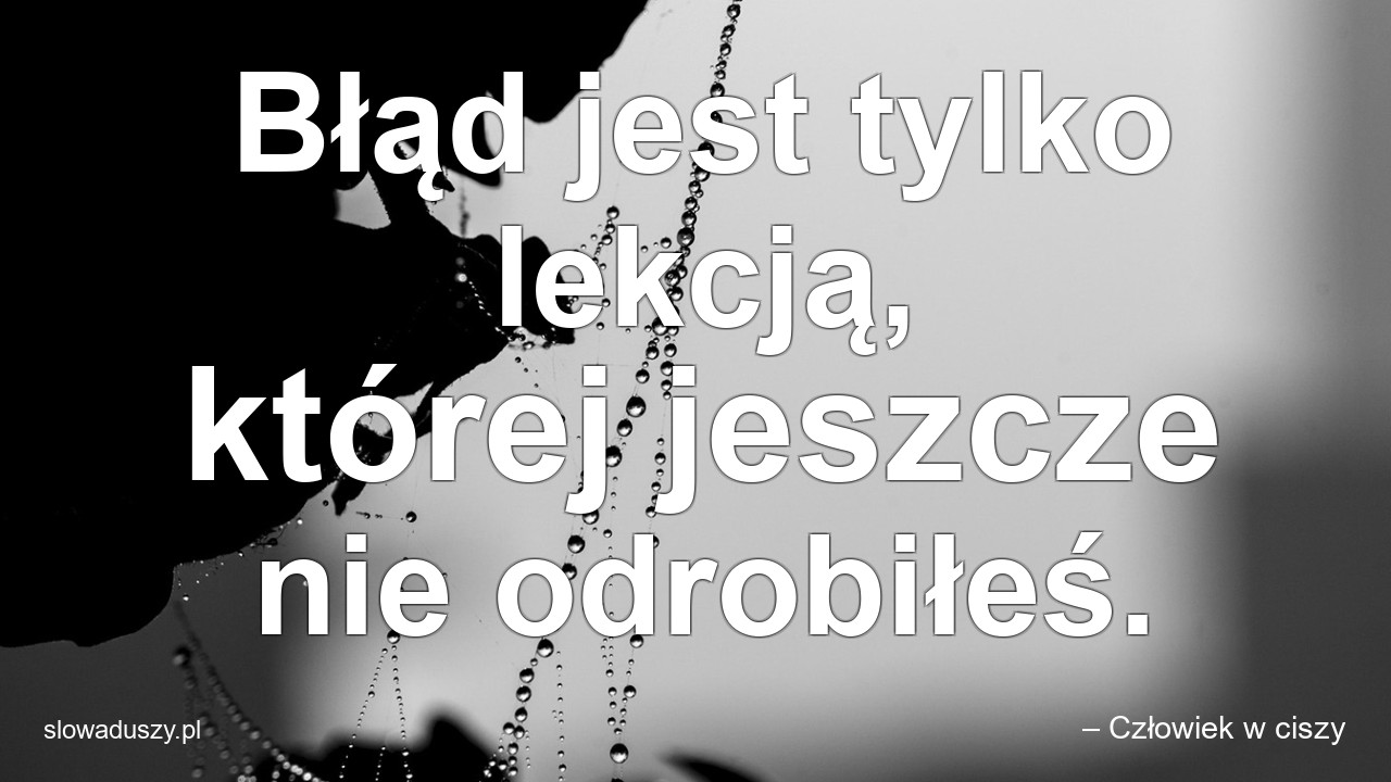 Błąd jest tylko lekcją,  której jeszcze nie odrobiłeś. - – Człowiek w ciszy
