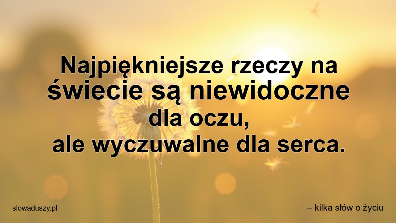 Najpiękniejsze rzeczy na świecie są niewidoczne dla oczu,  ale wyczuwalne dla serca. - – kilka słów o życiu
