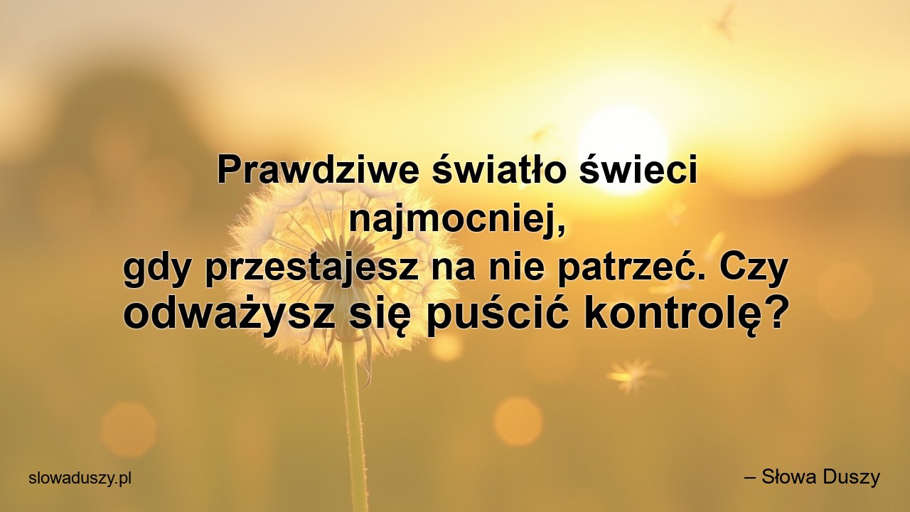 Prawdziwe światło świeci najmocniej,  gdy przestajesz na nie patrzeć. Czy odważysz się puścić kontrolę? - – Słowa Duszy