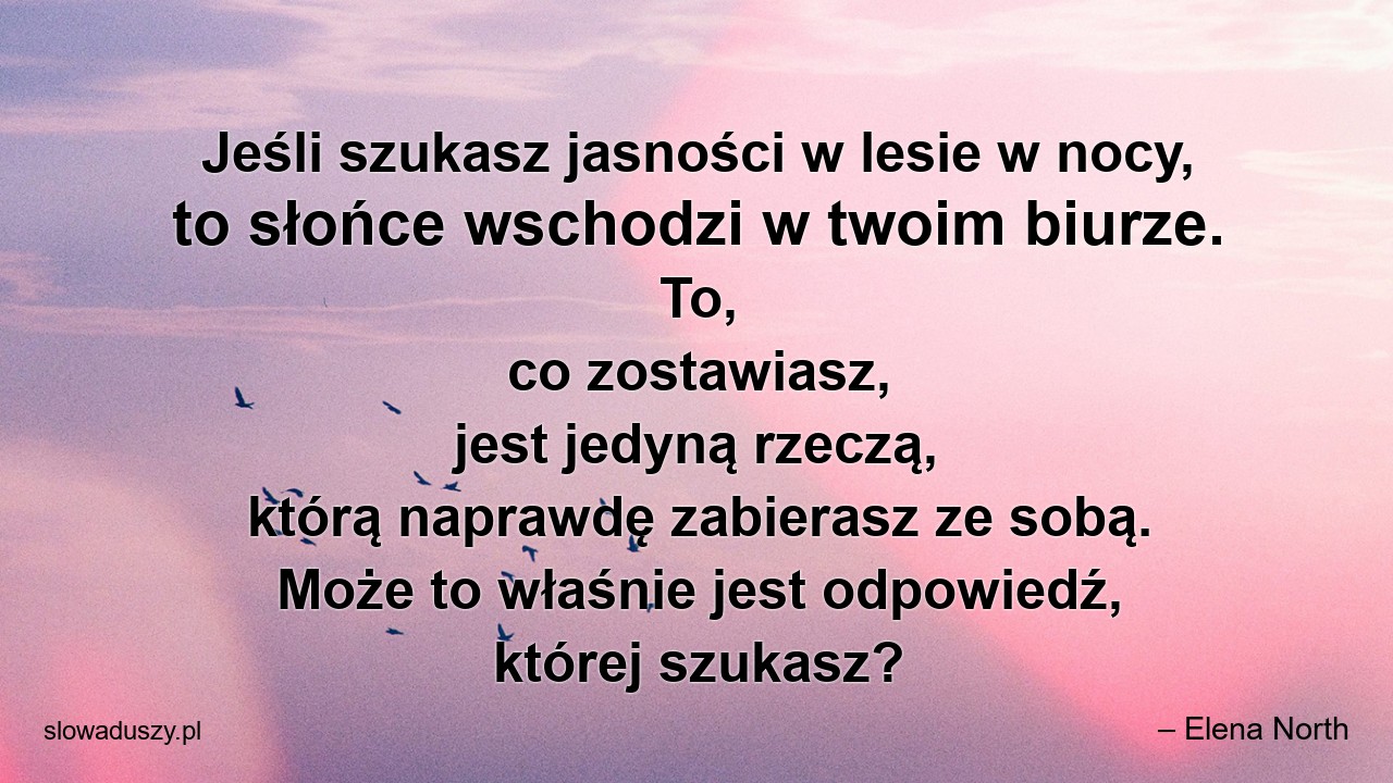 Jeśli szukasz jasności w lesie w nocy,  to słońce wschodzi w twoim biurze. To,  co zostawiasz,  jest jedyną rzeczą,  którą naprawdę zabierasz ze sobą. Może to właśnie jest odpowiedź,  której szukasz?
