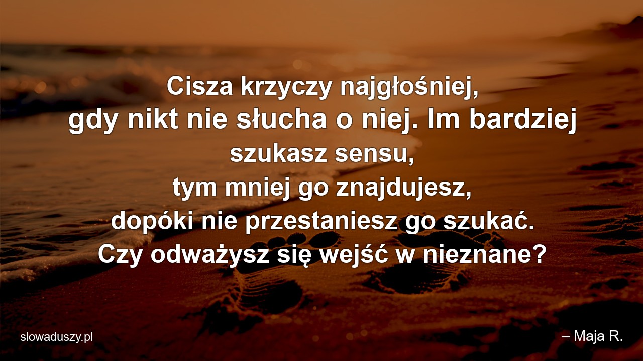 Cisza krzyczy najgłośniej,  gdy nikt nie słucha o niej. Im bardziej szukasz sensu,  tym mniej go znajdujesz,  dopóki nie przestaniesz go szukać. Czy odważysz się wejść w nieznane? - – Maja R.