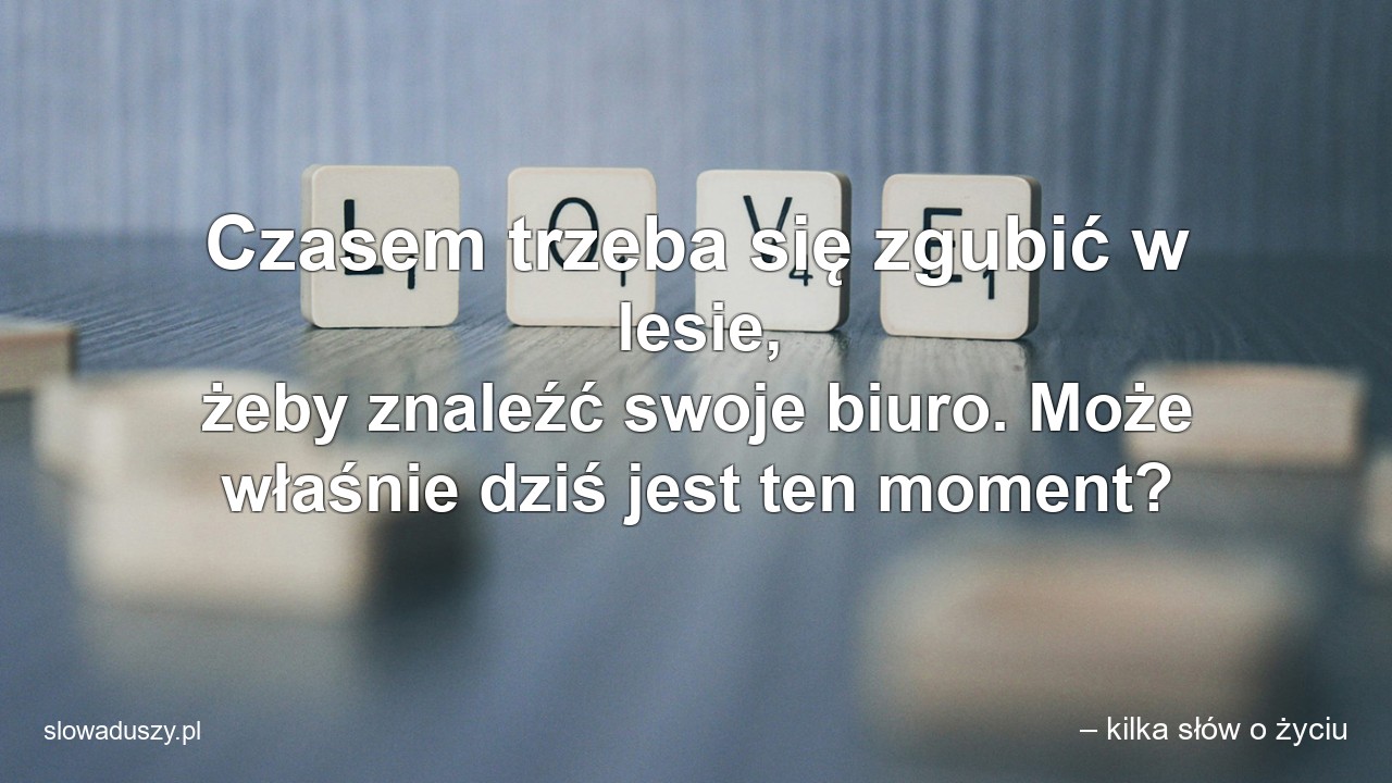 Czasem trzeba się zgubić w lesie,  żeby znaleźć swoje biuro. Może właśnie dziś jest ten moment?