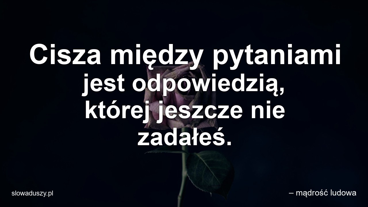 Cisza między pytaniami jest odpowiedzią,  której jeszcze nie zadałeś.