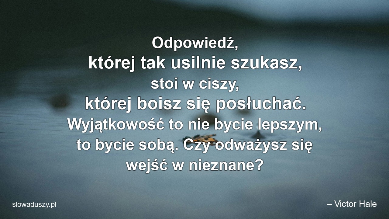 Odpowiedź,  której tak usilnie szukasz,  stoi w ciszy,  której boisz się posłuchać. Wyjątkowość to nie bycie lepszym,  to bycie sobą. Czy odważysz się wejść w nieznane?