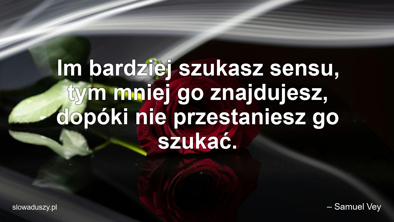 Im bardziej szukasz sensu,  tym mniej go znajdujesz,  dopóki nie przestaniesz go szukać. - – Samuel Vey