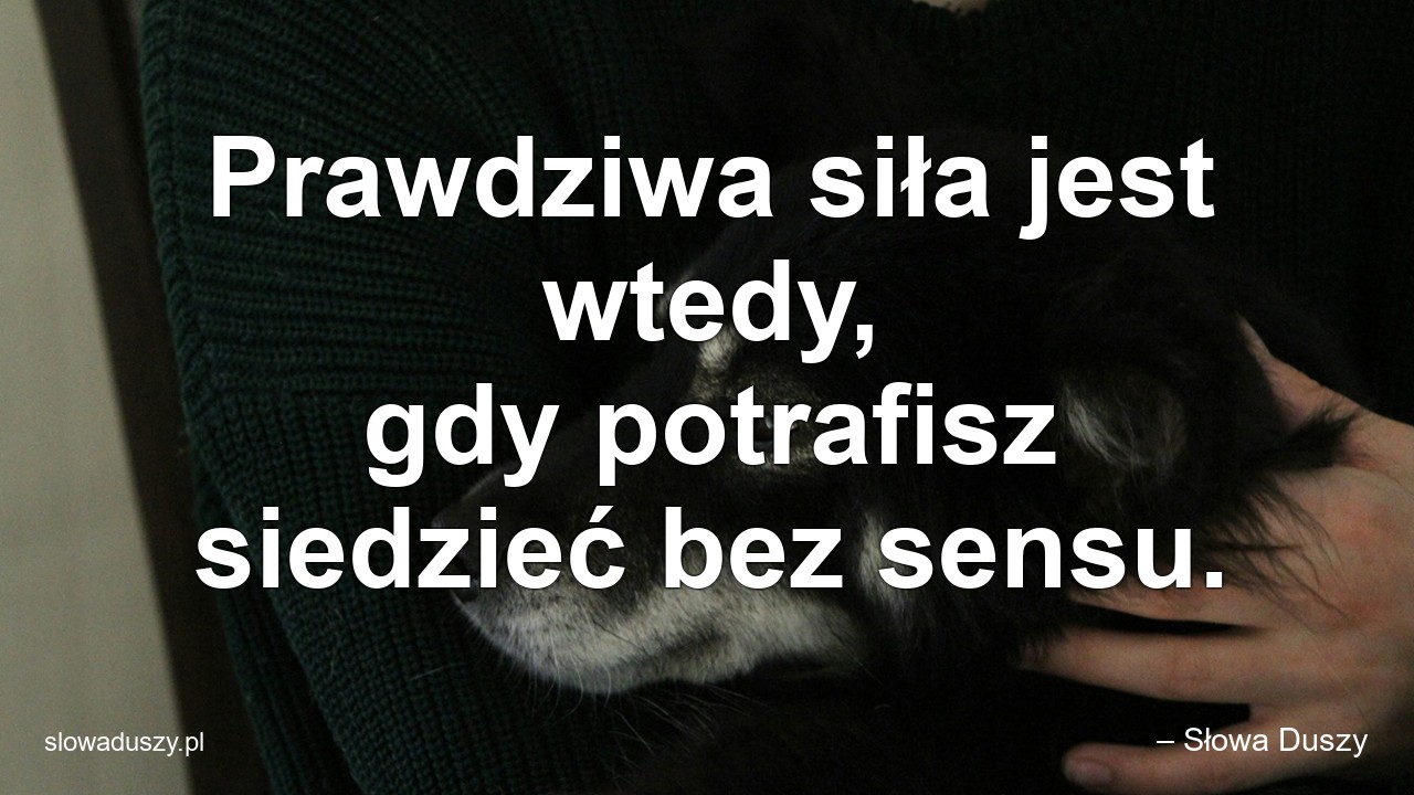 Prawdziwa siła jest wtedy,  gdy potrafisz siedzieć bez sensu.