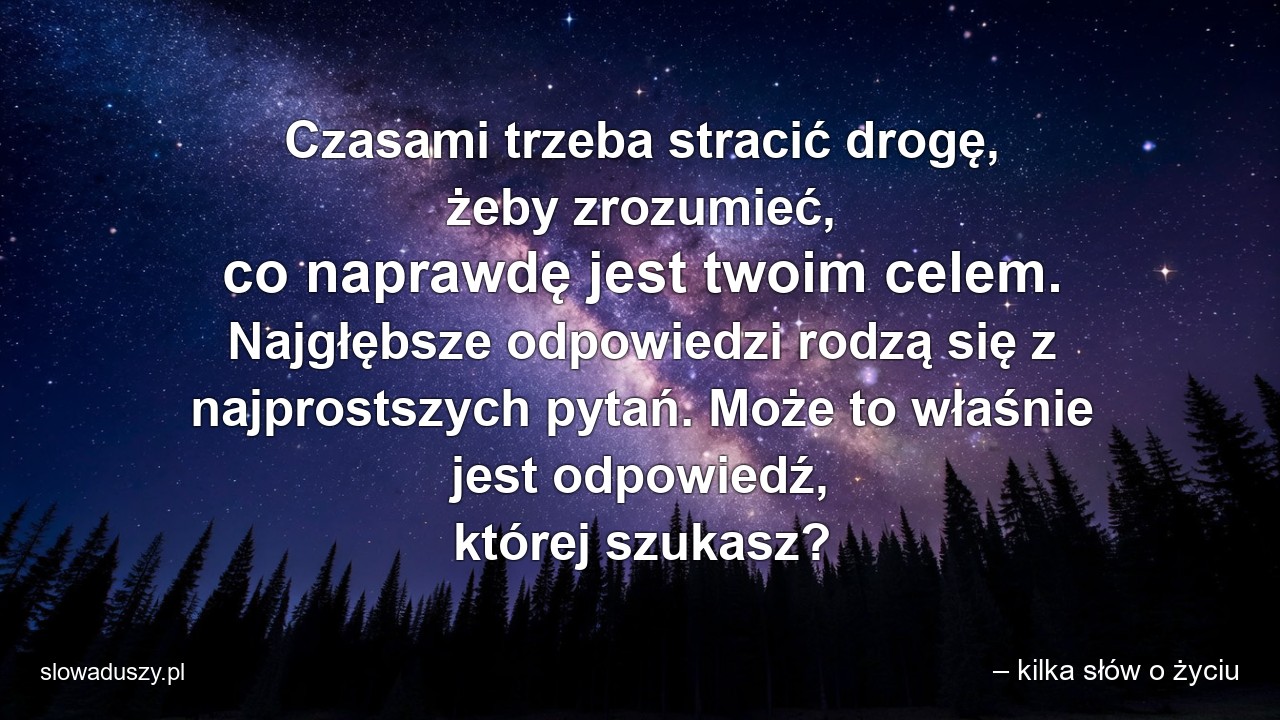 Czasami trzeba stracić drogę,  żeby zrozumieć,  co naprawdę jest twoim celem. Najgłębsze odpowiedzi rodzą się z najprostszych pytań. Może to właśnie jest odpowiedź,  której szukasz? - – kilka słów o życiu