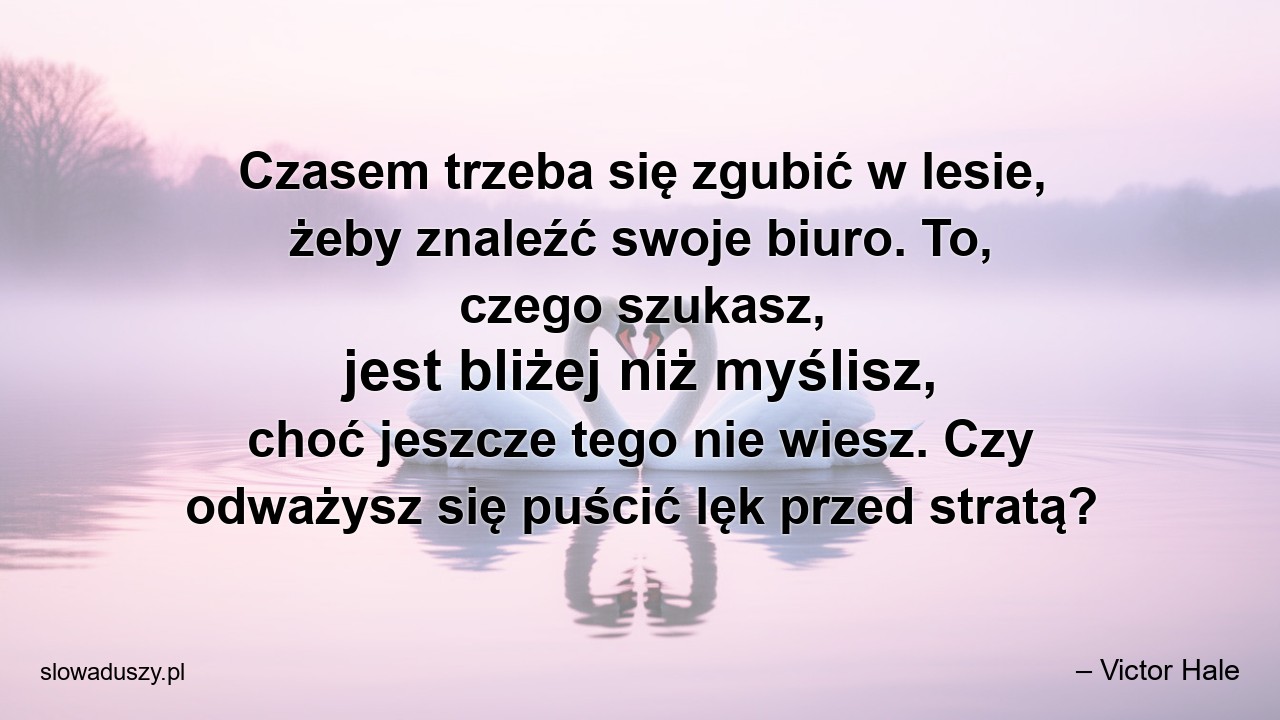 Czasem trzeba się zgubić w lesie,  żeby znaleźć swoje biuro. To,  czego szukasz,  jest bliżej niż myślisz,  choć jeszcze tego nie wiesz. Czy odważysz się puścić lęk przed stratą?