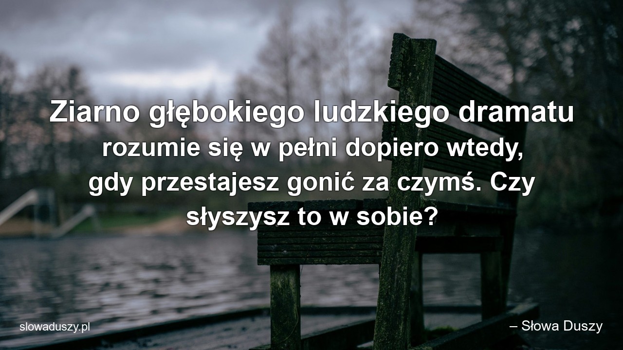 Ziarno głębokiego ludzkiego dramatu rozumie się w pełni dopiero wtedy,  gdy przestajesz gonić za czymś. Czy słyszysz to w sobie?