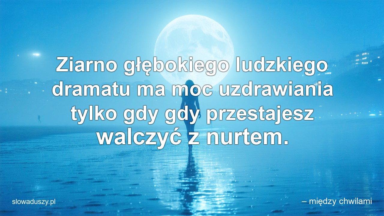 Ziarno głębokiego ludzkiego dramatu ma moc uzdrawiania tylko gdy gdy przestajesz walczyć z nurtem. - – między chwilami
