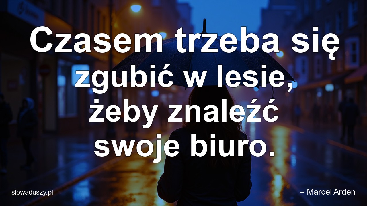 Czasem trzeba się zgubić w lesie,  żeby znaleźć swoje biuro.