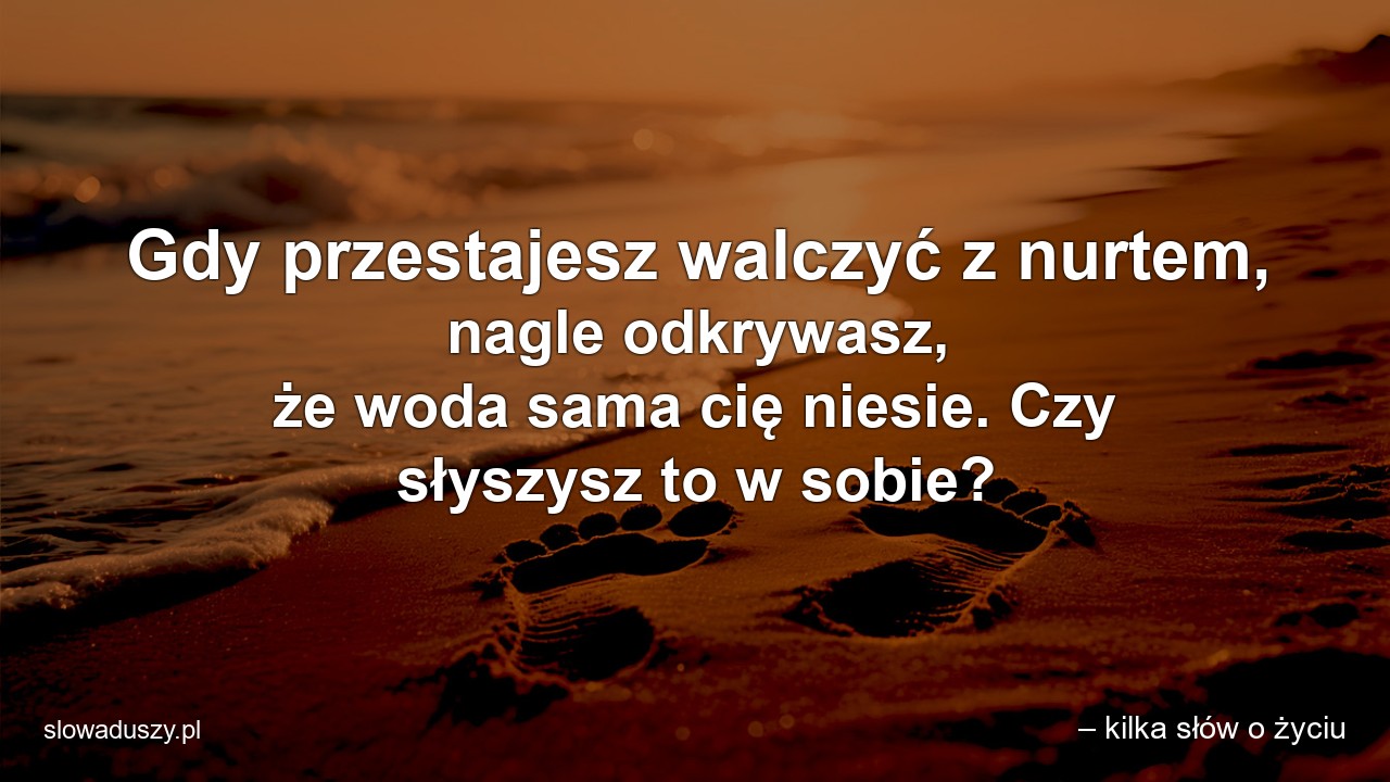 Gdy przestajesz walczyć z nurtem,  nagle odkrywasz,  że woda sama cię niesie. Czy słyszysz to w sobie? - – kilka słów o życiu