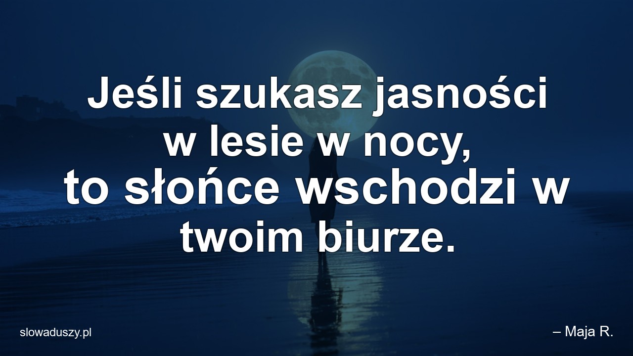 Jeśli szukasz jasności w lesie w nocy,  to słońce wschodzi w twoim biurze.