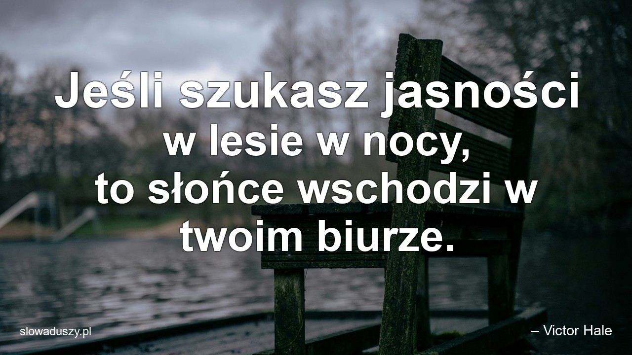 Jeśli szukasz jasności w lesie w nocy,  to słońce wschodzi w twoim biurze.