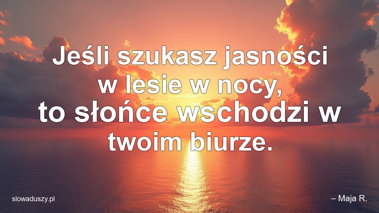 Jeśli szukasz jasności w lesie w nocy,  to słońce wschodzi w twoim biurze.