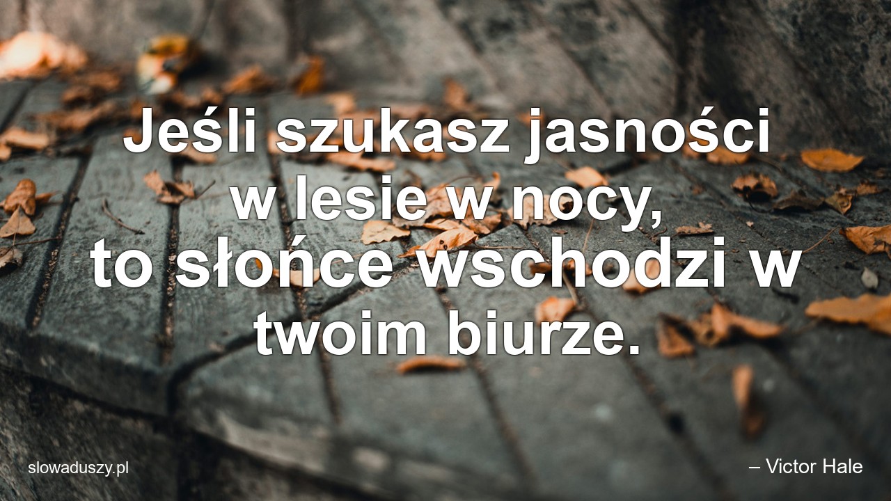 Jeśli szukasz jasności w lesie w nocy,  to słońce wschodzi w twoim biurze.