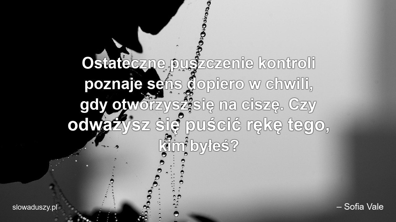 Ostateczne puszczenie kontroli poznaje sens dopiero w chwili,  gdy otworzysz się na ciszę. Czy odważysz się puścić rękę tego,  kim byłeś?