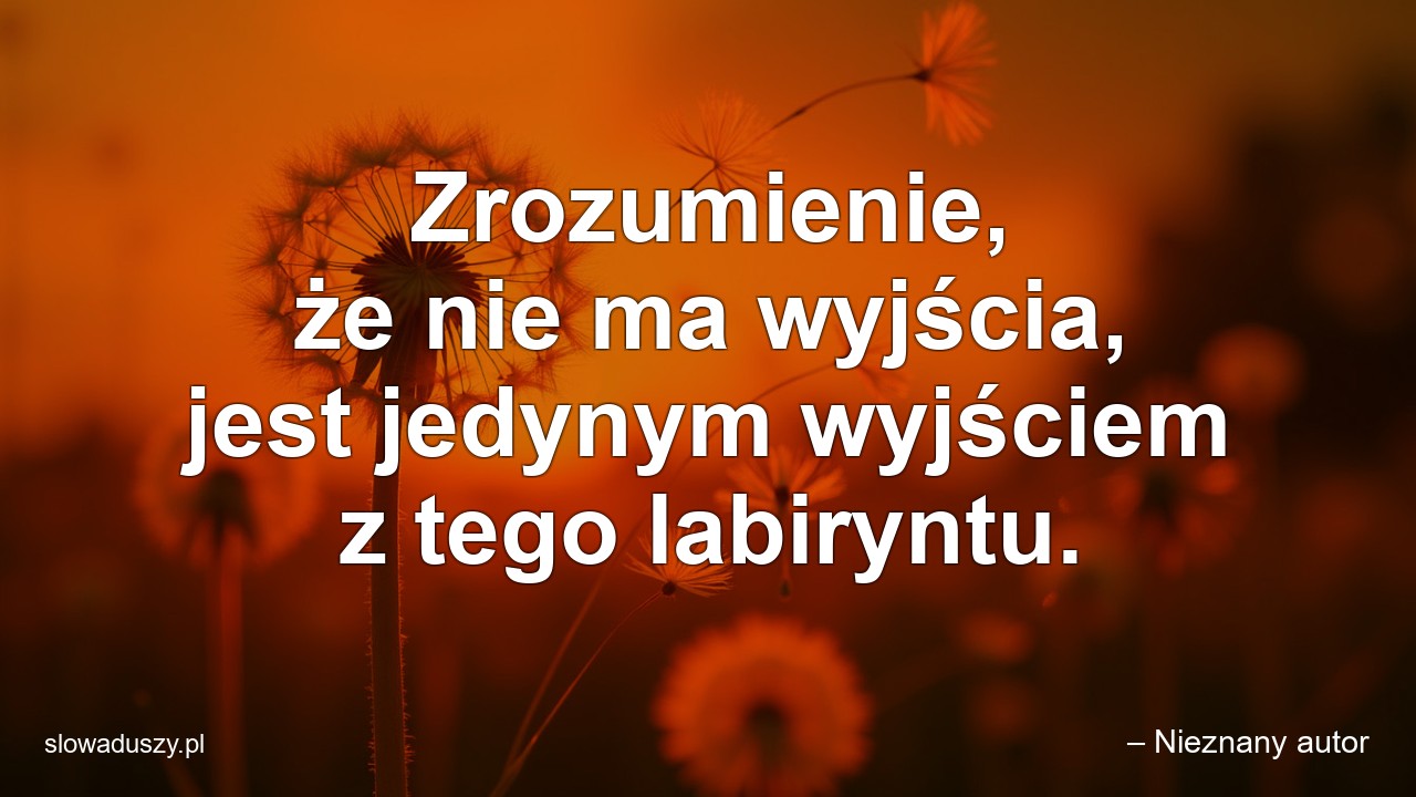 Zrozumienie,  że nie ma wyjścia,  jest jedynym wyjściem z tego labiryntu. - – Nieznany autor
