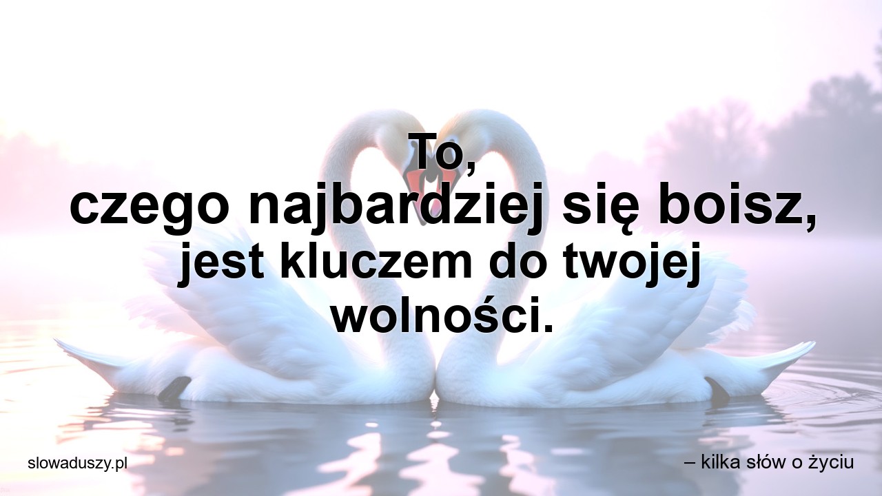 To,  czego najbardziej się boisz,  jest kluczem do twojej wolności. - – kilka słów o życiu