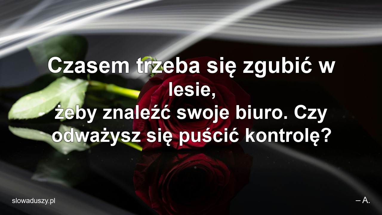 Czasem trzeba się zgubić w lesie,  żeby znaleźć swoje biuro. Czy odważysz się puścić kontrolę?