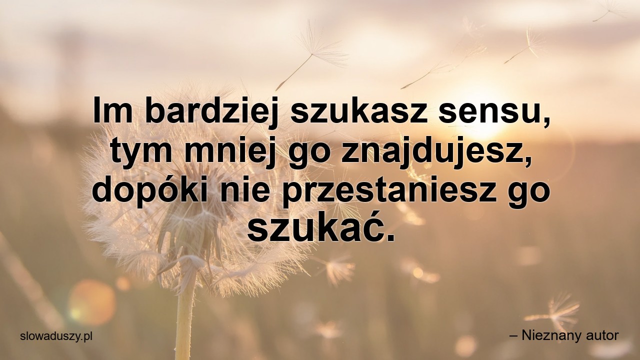 Im bardziej szukasz sensu,  tym mniej go znajdujesz,  dopóki nie przestaniesz go szukać.