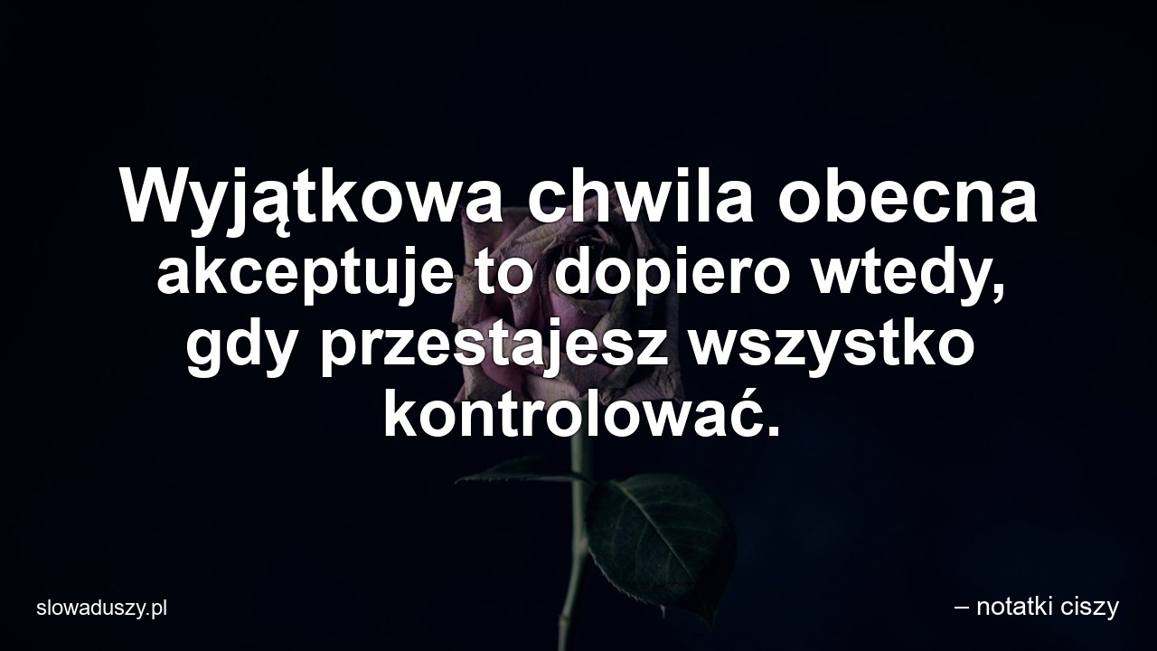 Wyjątkowa chwila obecna akceptuje to dopiero wtedy,  gdy przestajesz wszystko kontrolować.