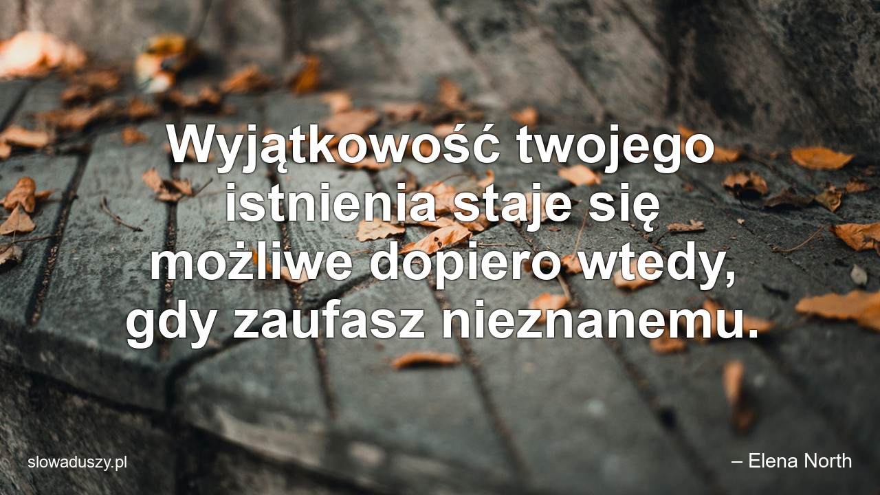 Wyjątkowość twojego istnienia staje się możliwe dopiero wtedy,  gdy zaufasz nieznanemu. - – Elena North