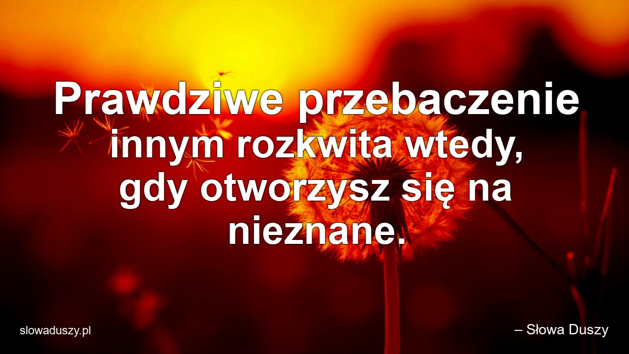 Prawdziwe przebaczenie innym rozkwita wtedy,  gdy otworzysz się na nieznane. - – Słowa Duszy