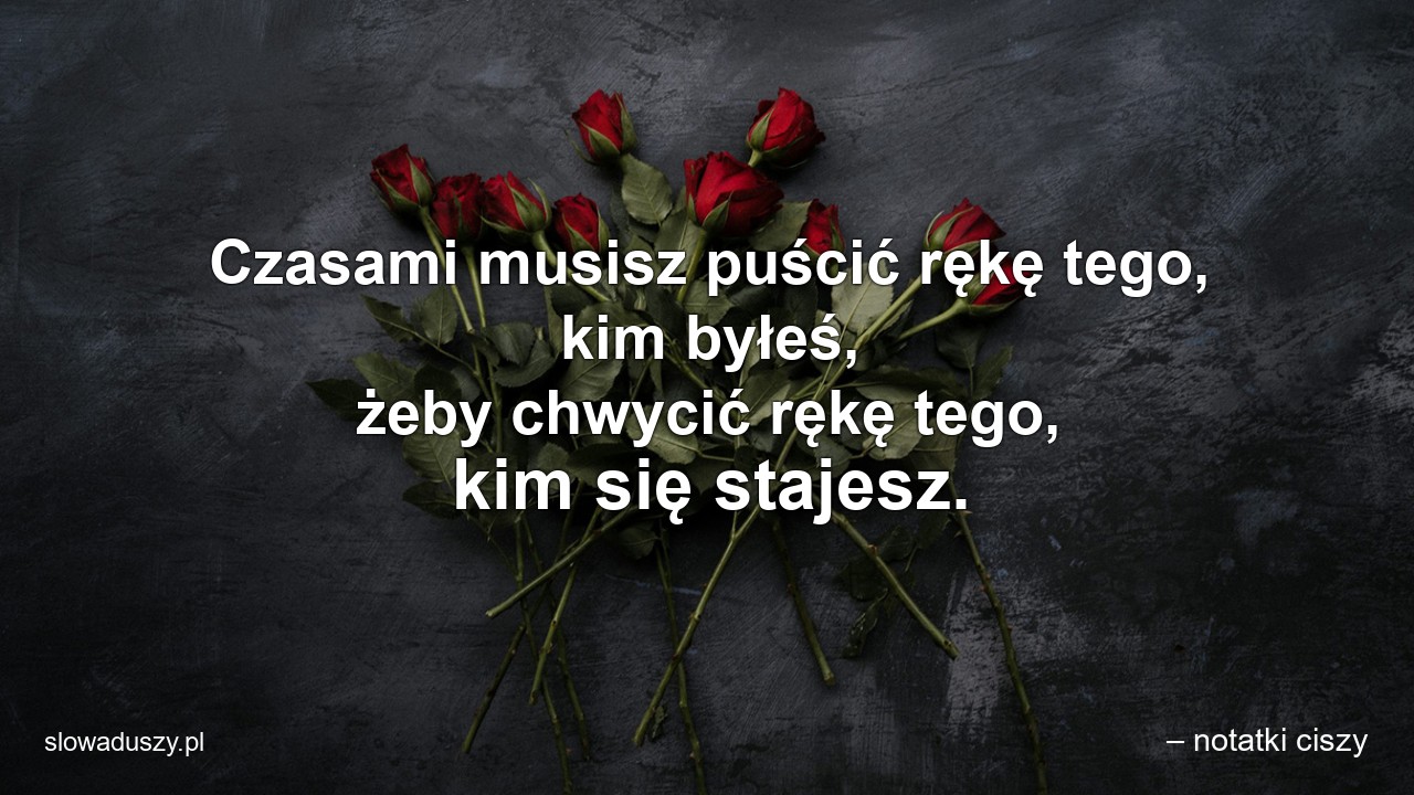Czasami musisz puścić rękę tego,  kim byłeś,  żeby chwycić rękę tego,  kim się stajesz. - – notatki ciszy