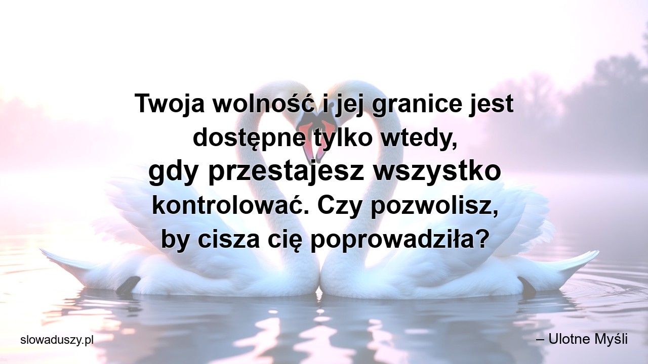 Twoja wolność i jej granice jest dostępne tylko wtedy,  gdy przestajesz wszystko kontrolować. Czy pozwolisz,  by cisza cię poprowadziła?