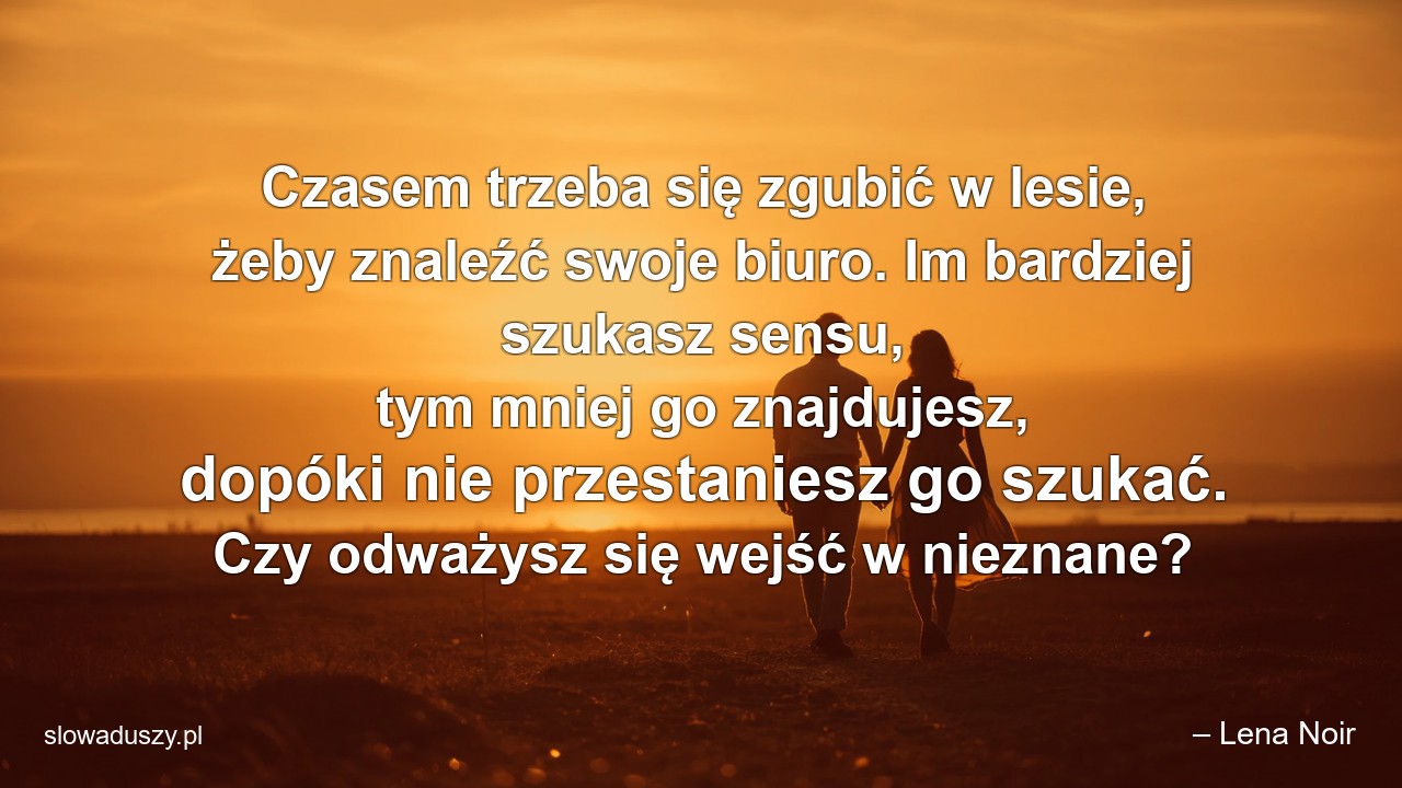 Czasem trzeba się zgubić w lesie,  żeby znaleźć swoje biuro. Im bardziej szukasz sensu,  tym mniej go znajdujesz,  dopóki nie przestaniesz go szukać. Czy odważysz się wejść w nieznane?