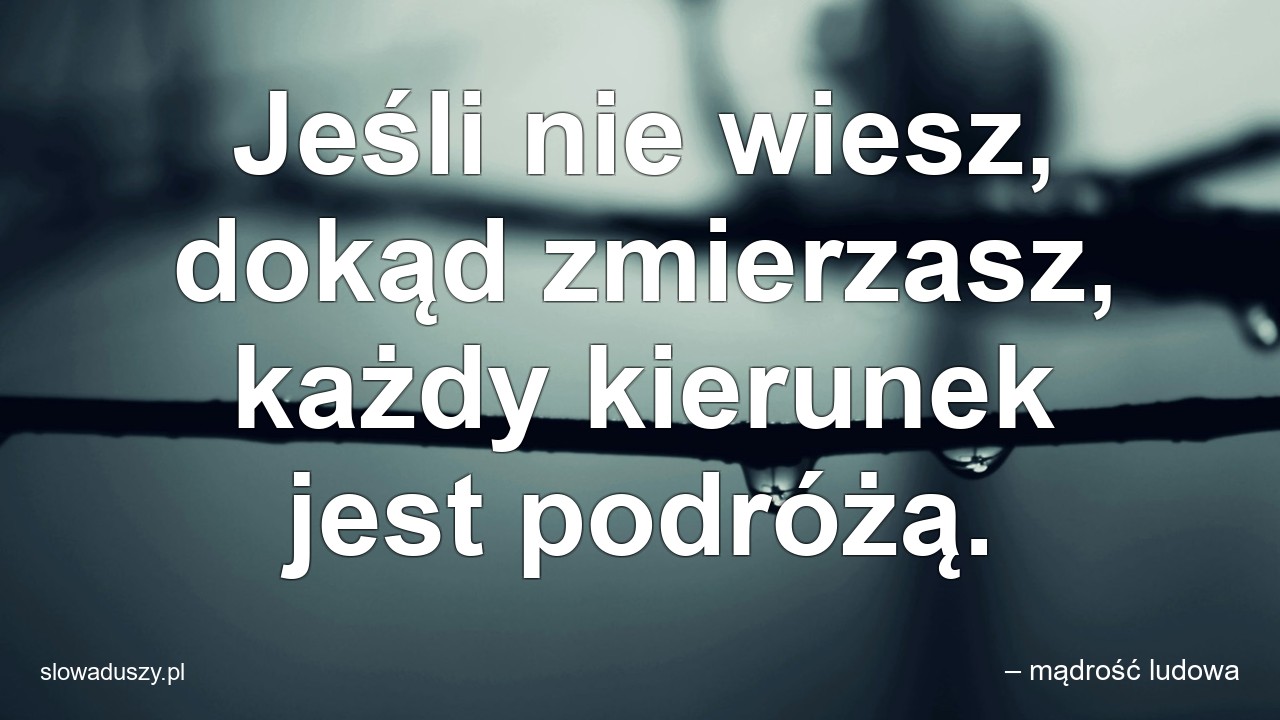 Jeśli nie wiesz,  dokąd zmierzasz,  każdy kierunek jest podróżą.