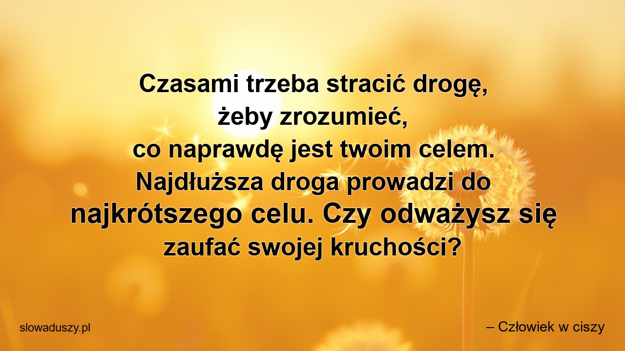 Czasami trzeba stracić drogę,  żeby zrozumieć,  co naprawdę jest twoim celem. Najdłuższa droga prowadzi do najkrótszego celu. Czy odważysz się zaufać swojej kruchości? - – Człowiek w ciszy