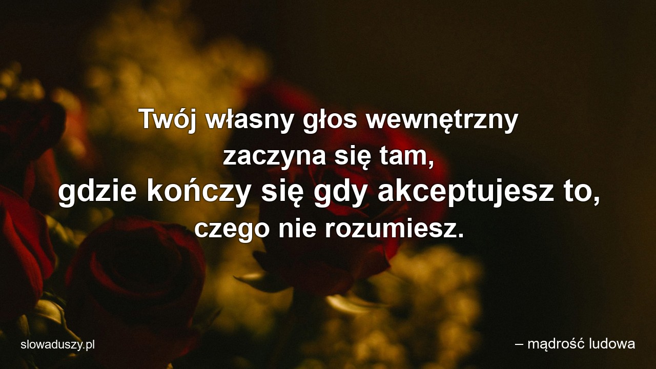 Twój własny głos wewnętrzny zaczyna się tam,  gdzie kończy się gdy akceptujesz to,  czego nie rozumiesz. - – mądrość ludowa