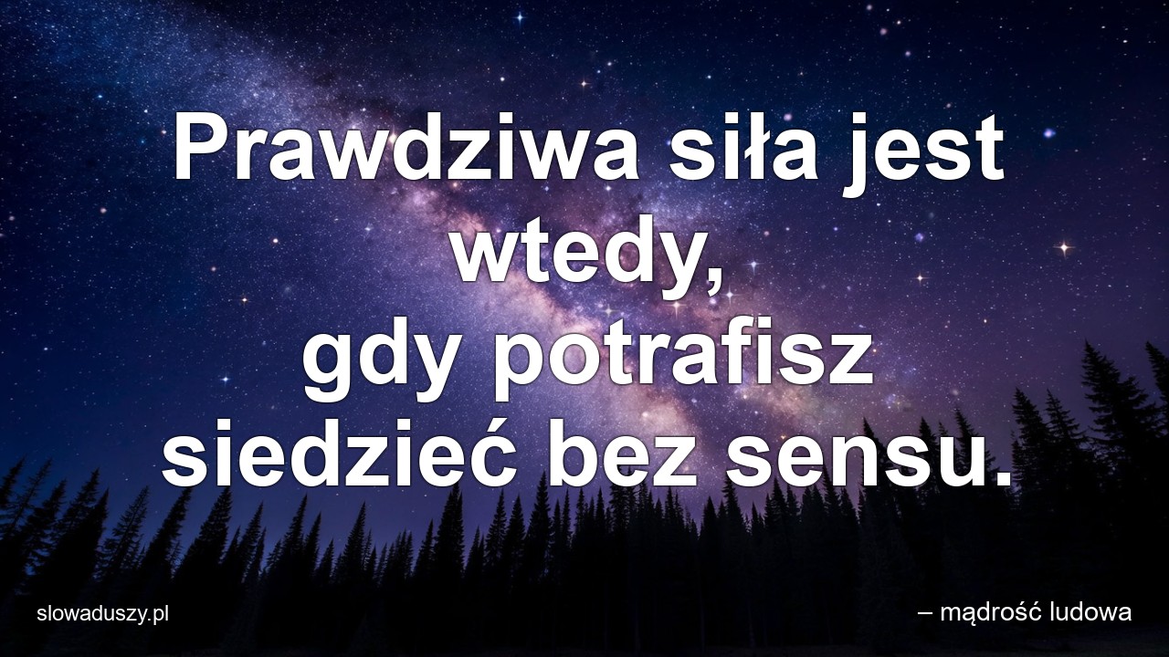 Prawdziwa siła jest wtedy,  gdy potrafisz siedzieć bez sensu. - – mądrość ludowa
