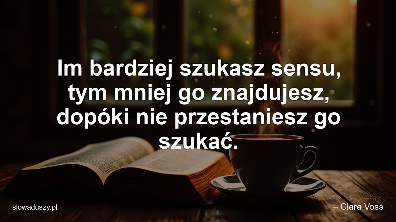 Im bardziej szukasz sensu,  tym mniej go znajdujesz,  dopóki nie przestaniesz go szukać. - – Clara Voss
