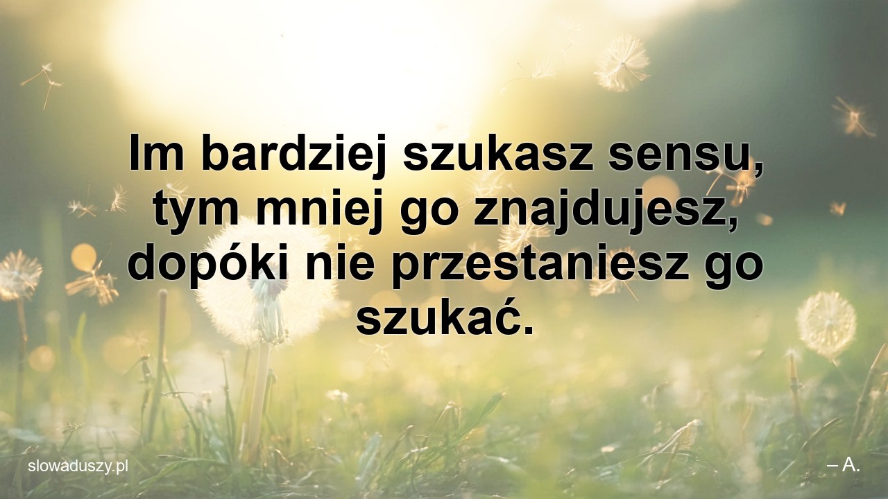 Im bardziej szukasz sensu,  tym mniej go znajdujesz,  dopóki nie przestaniesz go szukać. - – A.