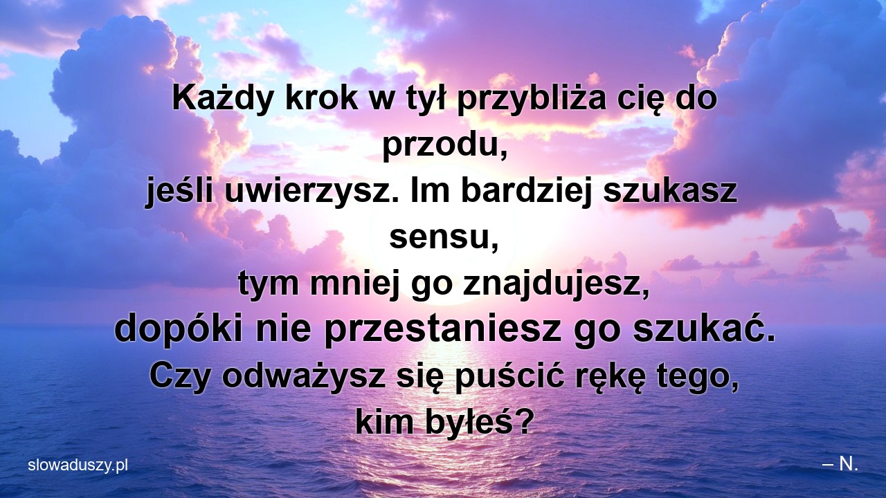 Każdy krok w tył przybliża cię do przodu,  jeśli uwierzysz. Im bardziej szukasz sensu,  tym mniej go znajdujesz,  dopóki nie przestaniesz go szukać. Czy odważysz się puścić rękę tego,  kim byłeś? - – N.