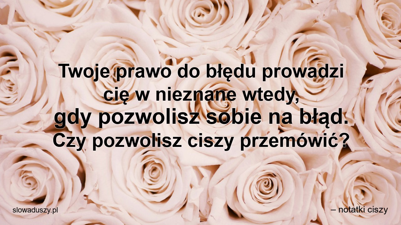 Twoje prawo do błędu prowadzi cię w nieznane wtedy,  gdy pozwolisz sobie na błąd. Czy pozwolisz ciszy przemówić? - – notatki ciszy
