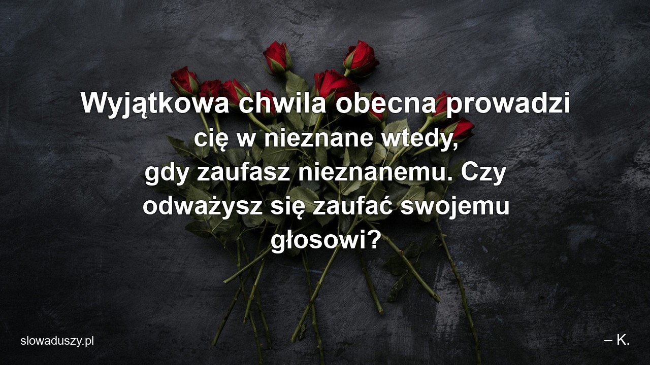 Wyjątkowa chwila obecna prowadzi cię w nieznane wtedy,  gdy zaufasz nieznanemu. Czy odważysz się zaufać swojemu głosowi?